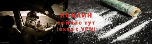 стаф Бородино