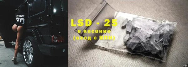 стаф Бородино