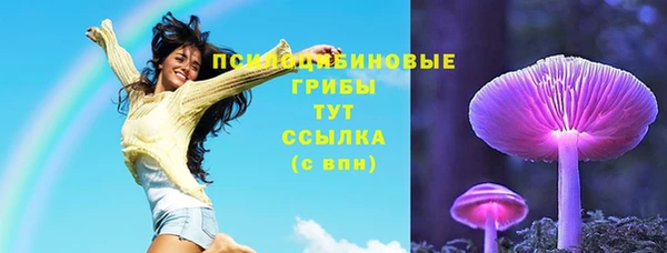 стаф Бородино