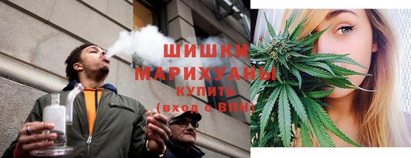 стаф Бородино