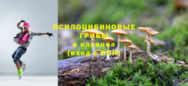 стаф Бородино