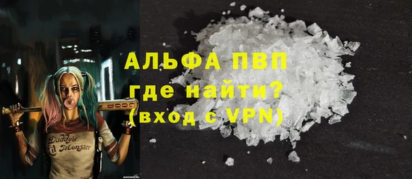 стаф Бородино